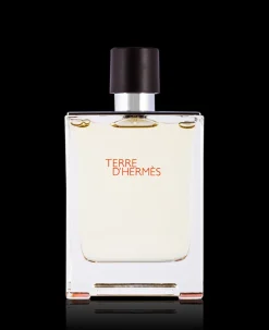 Hermes Terre D´ Eau de Toilette 100 ml