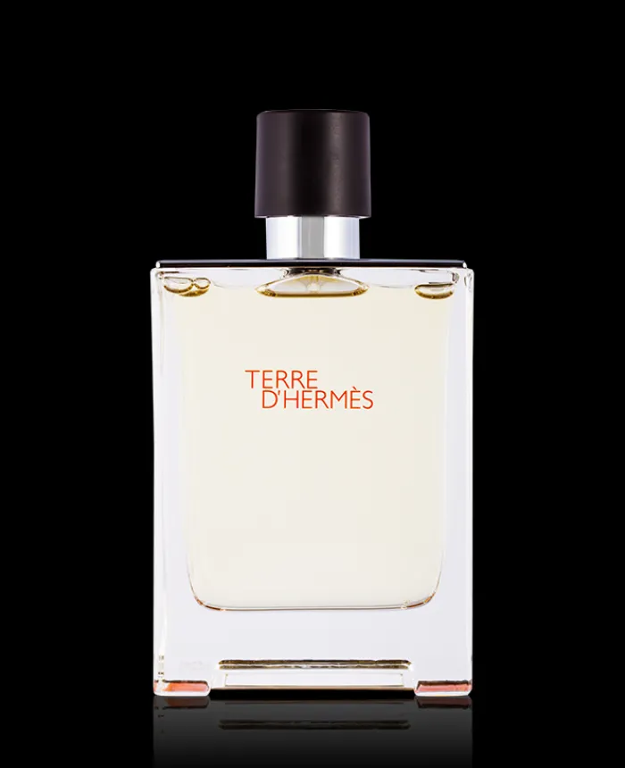 Hermes Terre D´ Eau de Toilette 100 ml
