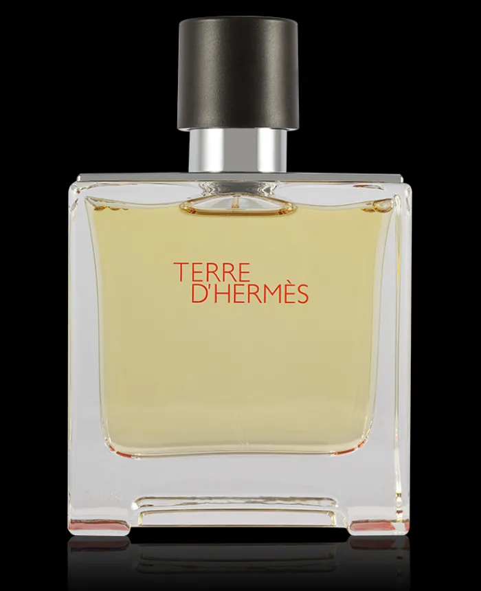 Hermes Terre D´ Eau de Parfum 75 ml